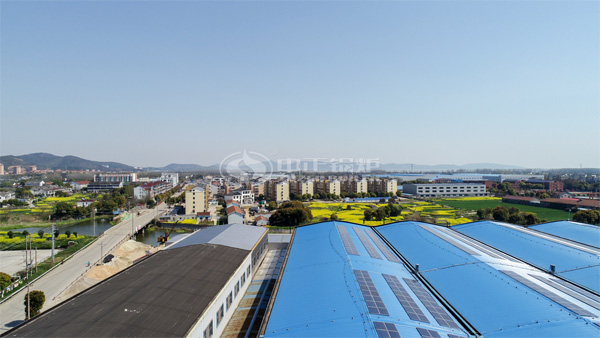 20吨燃煤饱和蒸汽链条锅炉的价格比较
